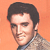 BGimage.tif