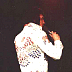e14.jpg