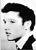 elvis3_yelvis2.jpg