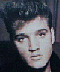 elvis3_yelvis.jpg