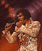 elvisSqr.jpg