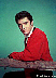 elvisbyfence.bmp